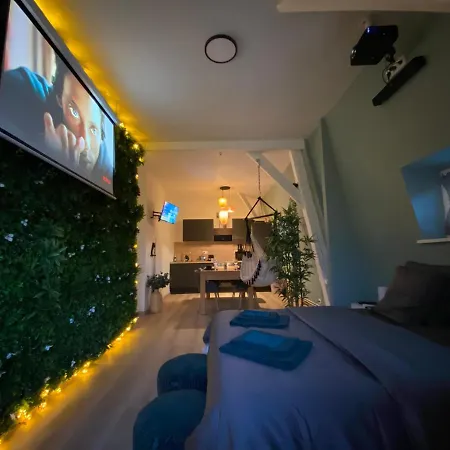 Zen - Roubaix-lille - Balneo - Cinema - Billard *